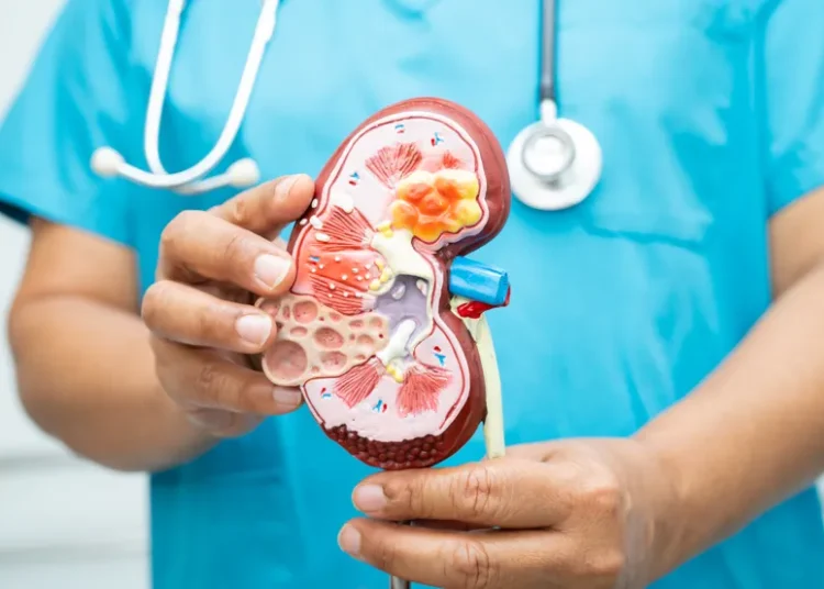 alimentos que fazem mal aos rins