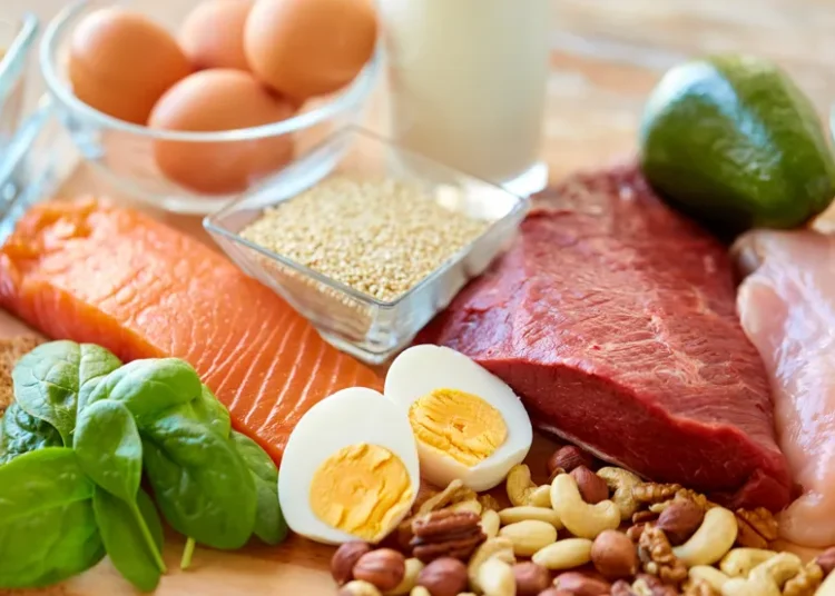 comer muita proteína faz mal