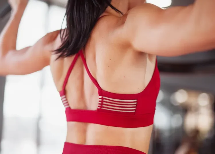 treino de costas completo