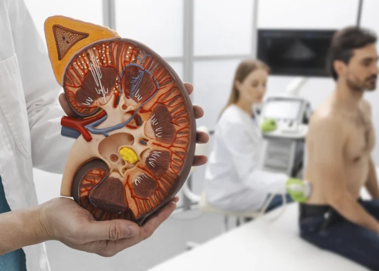 Suplementos-que-Prejudicam-os-Rins